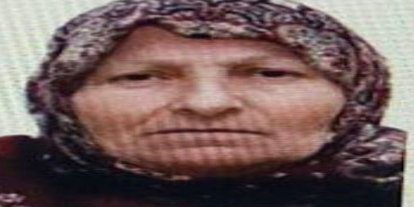 Bilecik’te kaybolan yaşlı kadını jandarma buldu