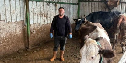 Şap hastalığına bir hayvanını daha verdi