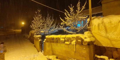 Ahlat’ta kar yağışı