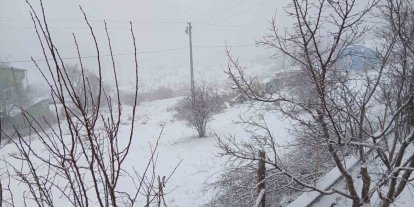 Posof’ta kar yağışı etkili oluyor