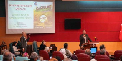 Tarsus’ta Sarıulak zeytini için üreticilere eğitim verildi