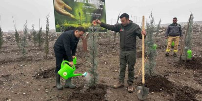 Baybatur’dan yanan orman alanlarına bin fidan