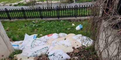 Bilecik’te yol kenarına atılan 15 çuval ekmek hamuru temizlendi