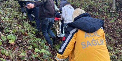 Otomobil ormanlık alana uçtu, 2 yaralı