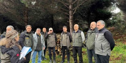 Sinop’ta ormancılık faaliyetleri