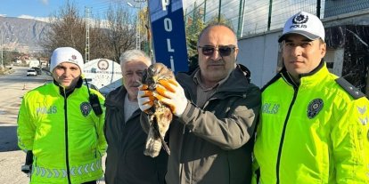 Yaralı şahine polis şefkati