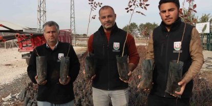 Büyükşehir’den çiftçilere 35 bin fıstık fidanı desteği