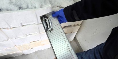 Kırklareli’nde su ürünleri denetimi