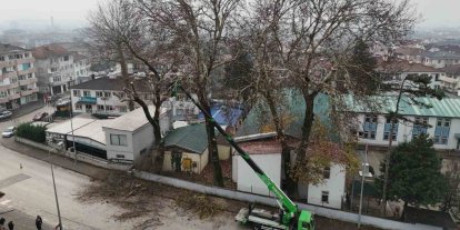 Düzce’de ağaçlara kış bakımı