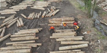 Düzce’den 22 bin 310,95 ton orman ürünü ihraç edildi