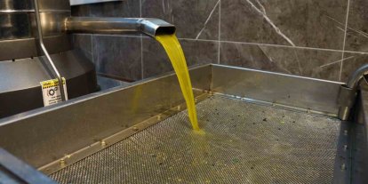 Zeytinyağı fiyatları belli oldu, fiyatlarda artış yaşandı