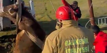 Balıkesir’de kuyuya düşen inek kurtarıldı