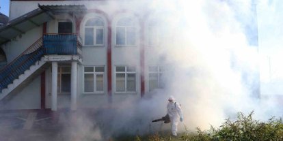 Kahverengi kokarca kışlak mücadelesi sürüyor