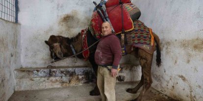 Şap karantinası nedeniyle iptal edilen deve güreşleri sektörde sıkıntıya neden oldu