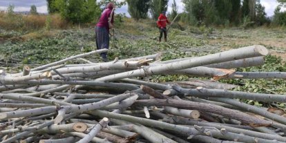 Kömür pahalı, odun umut: Erzincan kırsalında kış mesaisi