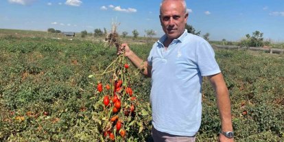 Dedesi seçimde muhtar oldu adına "Seçim" konuldu