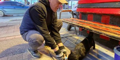 Bu taksi durağı esnafın hayvan sevgisi ile öne çıkıyor