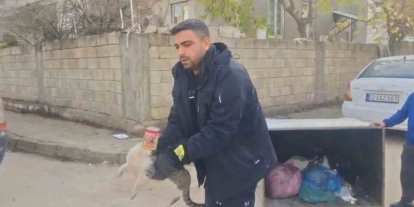 Konserve kutusuna sıkışan kedi kurtarıldı
