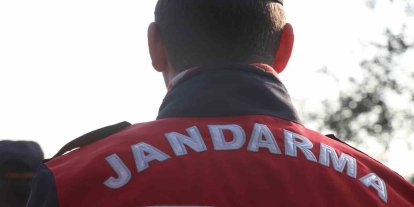Aydın’da jandarma ekipleri bir haftada 182 olayı aydınlattı