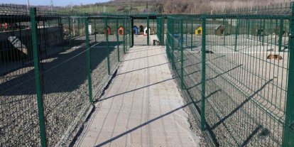 BARÜ’de kampüsteki hayvanlar için yaşam merkezi oluşturuldu