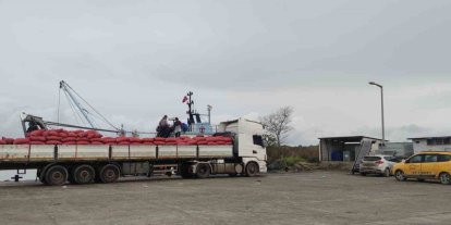 Karadeniz’den çıkartılan beyaz kum midyesine sıkı denetim