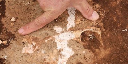 Diyarbakır’da yüz milyonlarca yıl önceye ait fosiller bulundu