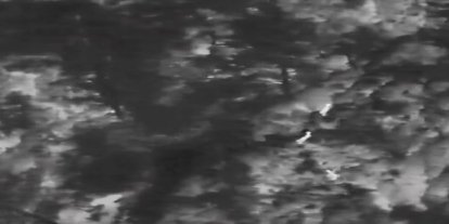 Muğla’da yaban hayatına "dron" kalkanı