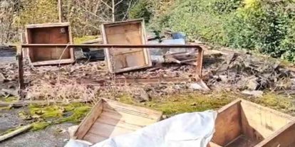 Rize’de ayının kovanlarına saldırdığı üretici isyan etti: "Ben şimdi ne edeyim"