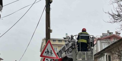 Beyşehir’de itfaiye merdiveni bu kez direğin tepesindeki kedi için uzatıldı