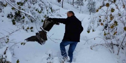 Kargayı atmacanın pençelerinden yoldan geçen vatandaşlar kurtardı
