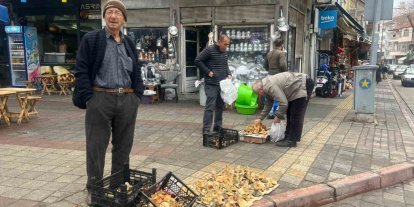 Tavşanlı’da Aralık ayı sonunda da Melki mantarı bereketi