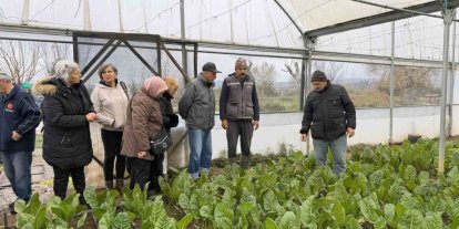 "Saygınlar Kulübü" üyeleri serada hasat yaptı
