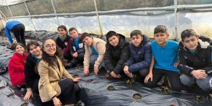 Gördes’te çilekler engelliler için yetişecek