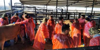 Veterinerler Eğitim için Kars’ta Buluştu