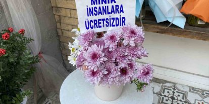 Bir saksıya ayırdığı çiçekleri küçük çocuklar için ücretsiz yaptı