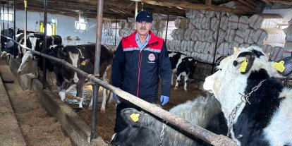 Beyşehir’de hayvancılık faaliyetleri yakın takipte