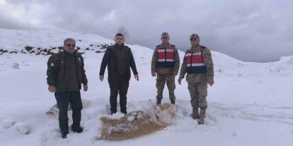 Siirt’te yaban hayvanlarına 750 kilo besi yemi bırakıldı