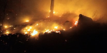 Bozyazı’da çıkan orman yangını kontrol altına alındı