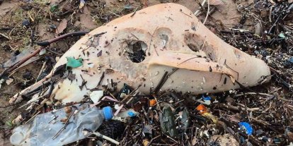 Dev dalgalar, ölü yunus balığının kalıntılarını sahile sürükledi