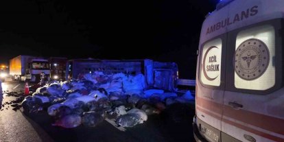 Kuzey Marmara Otoyolu’nda  kamyonet devrildi: 2 yaralı