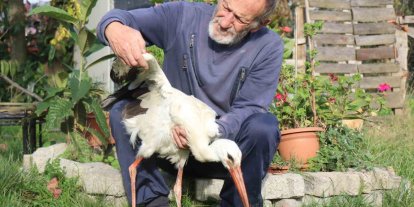 Annesinin yuvadan attığı leyleğe, mahalleli anne ve baba oldu