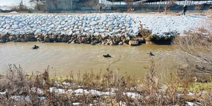 Kayıp sürücüyü arama çalışması devam ediyor
