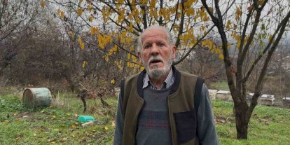 Zirai ilaç yüzünden milyonlarca arısı kovana dönemeden öldü