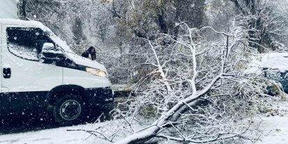 Birecik’te karın ağırlığına dayanamayan ağaç dalları araçların üzerine devrildi