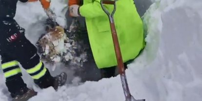 Artvin’de çığ bölgesinde arama kurtarma çalışmaları ikinci günde yeniden başladı