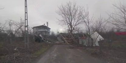 Şiddetli rüzgar ortalığı savaş alanına çevirdi: Yıkılan ağaçlar ve baraka yolu kapattı