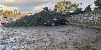 Gebze’de fırtınada iki otomobilin üzerine ağaç devrildi