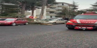 Beypazarı’nda fırtına ağaçları devirdi