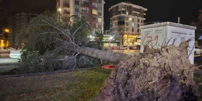 Kayseri’de kuvvetli rüzgar: Ağaç otomobilin üzerine devrildi
