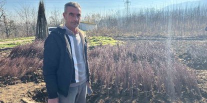 Kurulan her meyve bahçesinde "Bursa" imzası var